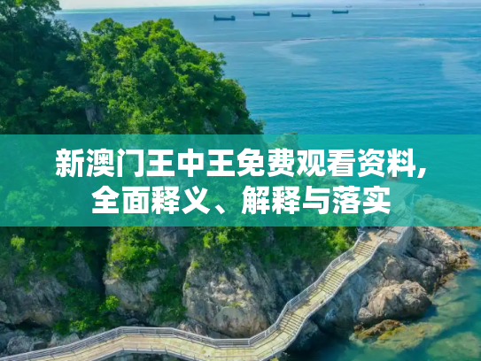 新澳门王中王免费观看资料,全面释义、解释与落实