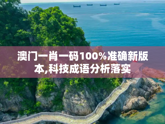 澳门一肖一码100%准确新版本,科技成语分析落实