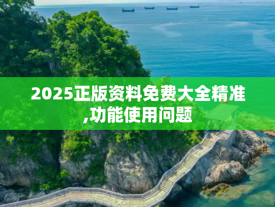 2025正版资料免费大全精准,功能使用问题