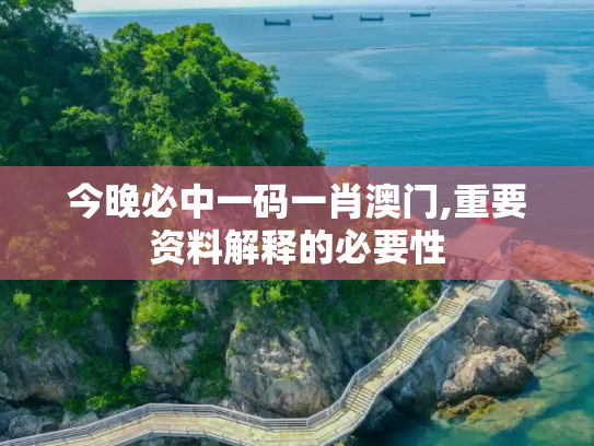 今晚必中一码一肖澳门,重要资料解释的必要性