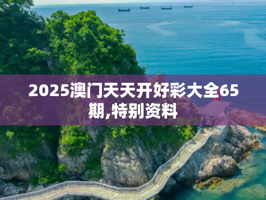 2025澳门天天开好彩大全65期,特别资料