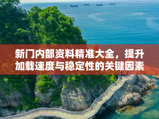 新门内部资料精准大全，提升加载速度与稳定性的关键因素,新门内部资料精准大全,加载速度与稳定性