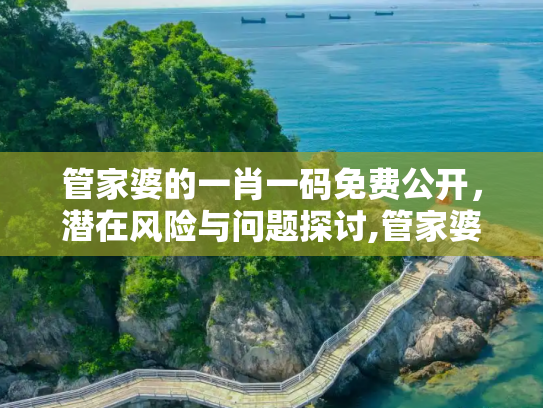 管家婆的一肖一码免费公开，潜在风险与问题探讨,管家婆的一肖一码免费公开,可能存在的问题
