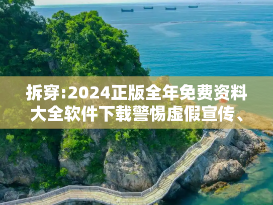拆穿:2024正版全年免费资料大全软件下载警惕虚假宣传、全面解答与解释