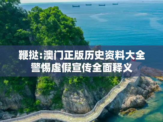 鞭挞:澳门正版历史资料大全警惕虚假宣传全面释义