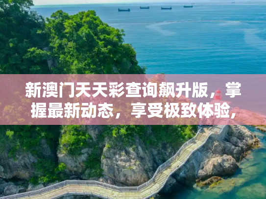 新澳门天天彩查询飙升版，掌握最新动态，享受极致体验,新澳门天天彩查询,飙升版