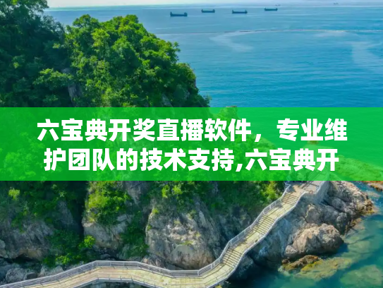 六宝典开奖直播软件，专业维护团队的技术支持,六宝典开奖直播软件下载,专业维护团队
