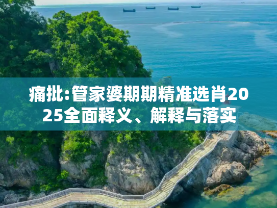 痛批:管家婆期期精准选肖2025全面释义、解释与落实
