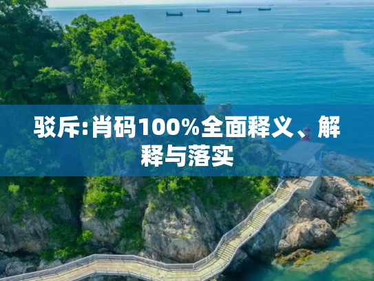 驳斥:肖码100%全面释义、解释与落实