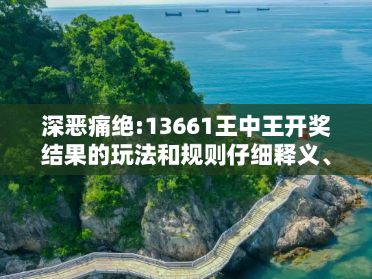 深恶痛绝:13661王中王开奖结果的玩法和规则仔细释义、解释与落实