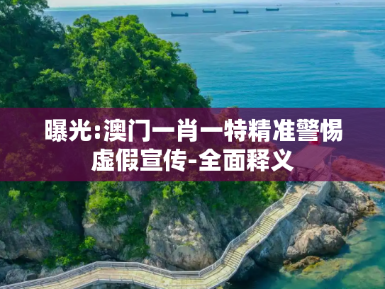 曝光:澳门一肖一特精准警惕虚假宣传-全面释义