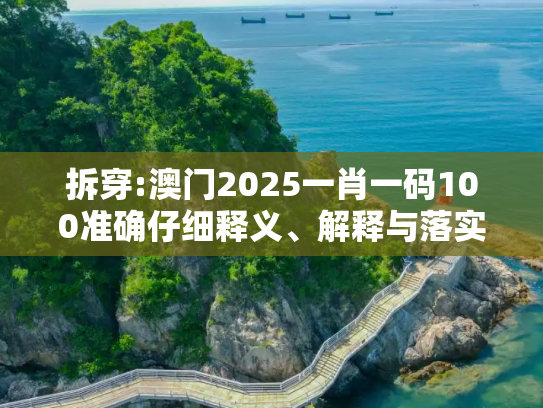 拆穿:澳门2025一肖一码100准确仔细释义、解释与落实