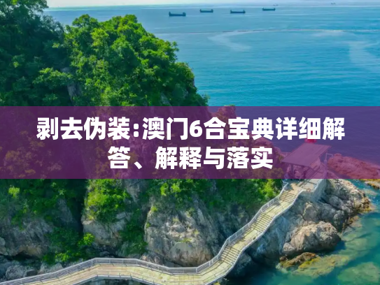 剥去伪装:澳门6合宝典详细解答、解释与落实