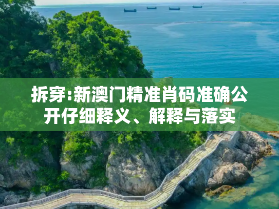 拆穿:新澳门精准肖码准确公开仔细释义、解释与落实
