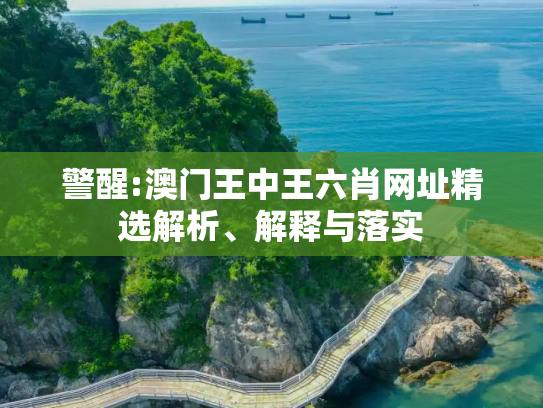 警醒:澳门王中王六肖网址精选解析、解释与落实