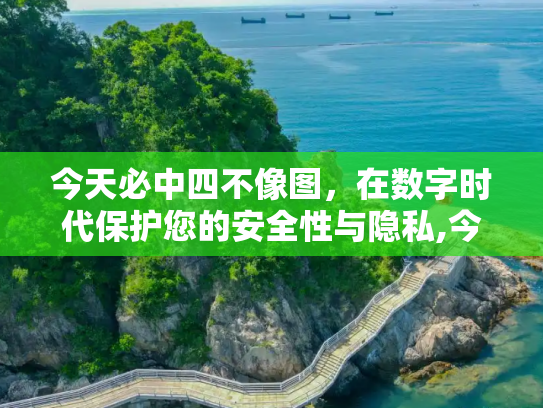 今天必中四不像图，在数字时代保护您的安全性与隐私,今天必中四不像图,安全性与隐私保护