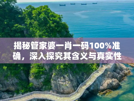 揭秘管家婆一肖一码100%准确，深入探究其含义与真实性,管家婆一肖一码100%准确,仔细释义与解答落实