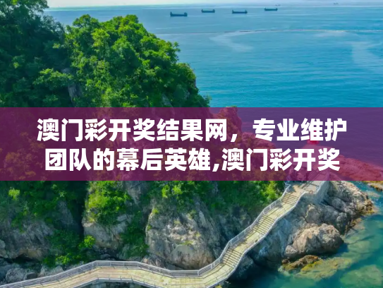 澳门彩开奖结果网，专业维护团队的幕后英雄,澳门彩开奖结果网,专业维护团队