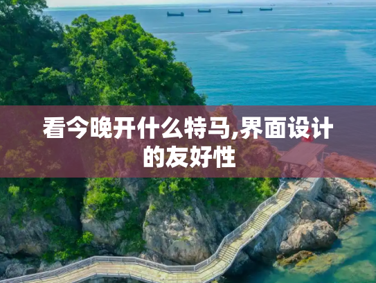 看今晚开什么特马,界面设计的友好性