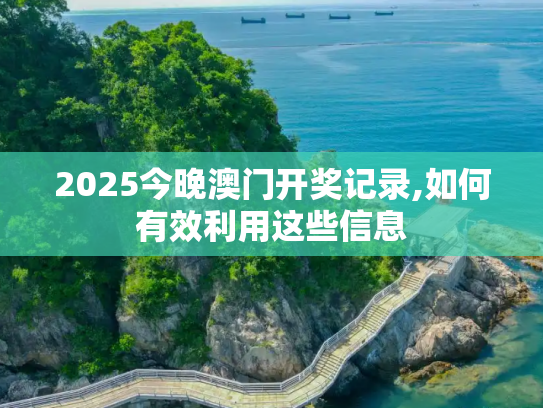 2025今晚澳门开奖记录,如何有效利用这些信息