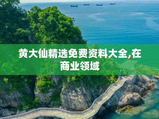 黄大仙精选免费资料大全,在商业领域