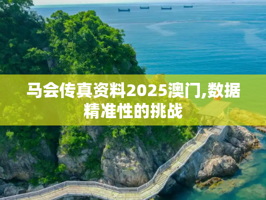 马会传真资料2025澳门,数据精准性的挑战
