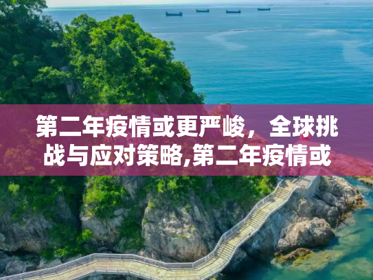 第二年疫情或更严峻，全球挑战与应对策略,第二年疫情或更严峻
