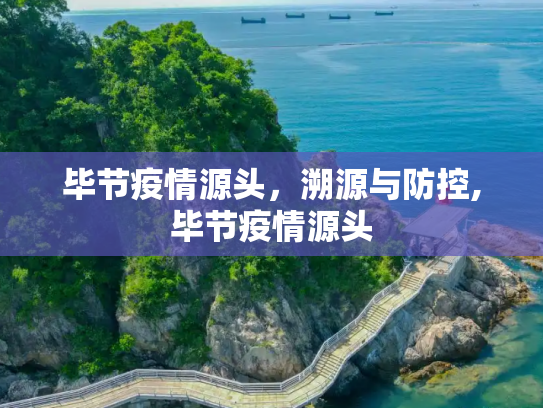 毕节疫情源头，溯源与防控,毕节疫情源头