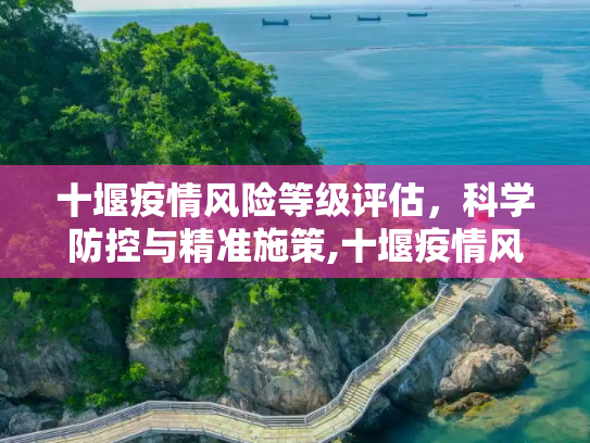 十堰疫情风险等级评估，科学防控与精准施策,十堰疫情风险等级