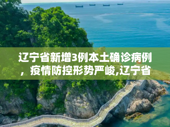 辽宁省新增3例本土确诊病例，疫情防控形势严峻,辽宁省新增3例本土确诊病例