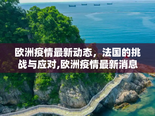 欧洲疫情最新动态，法国的挑战与应对,欧洲疫情最新消息法国