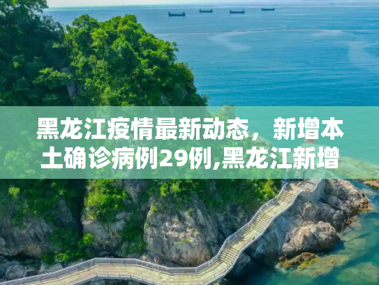 黑龙江疫情最新动态，新增本土确诊病例29例,黑龙江新增本土确诊病例29例